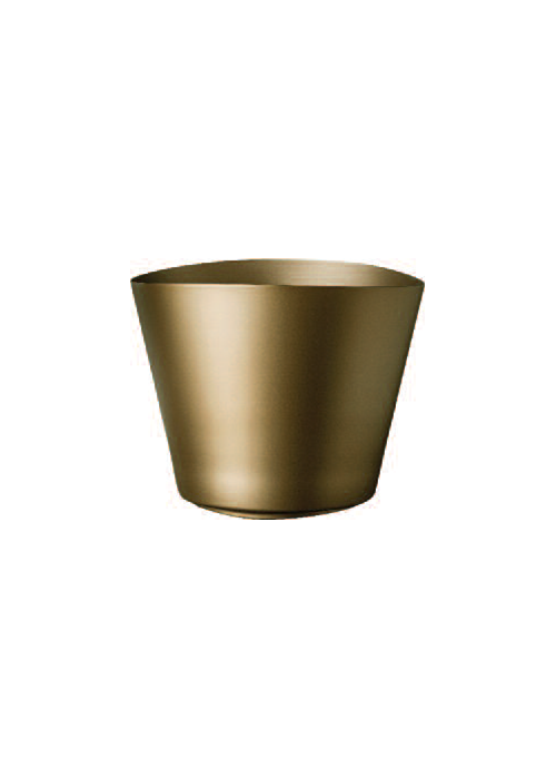 Kove shampanje gold 27x20.5cm