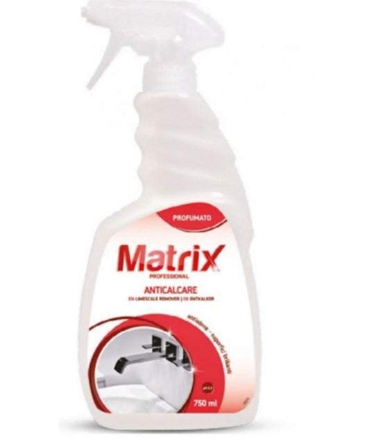 Toilettenreiniger entkalkend 750ml