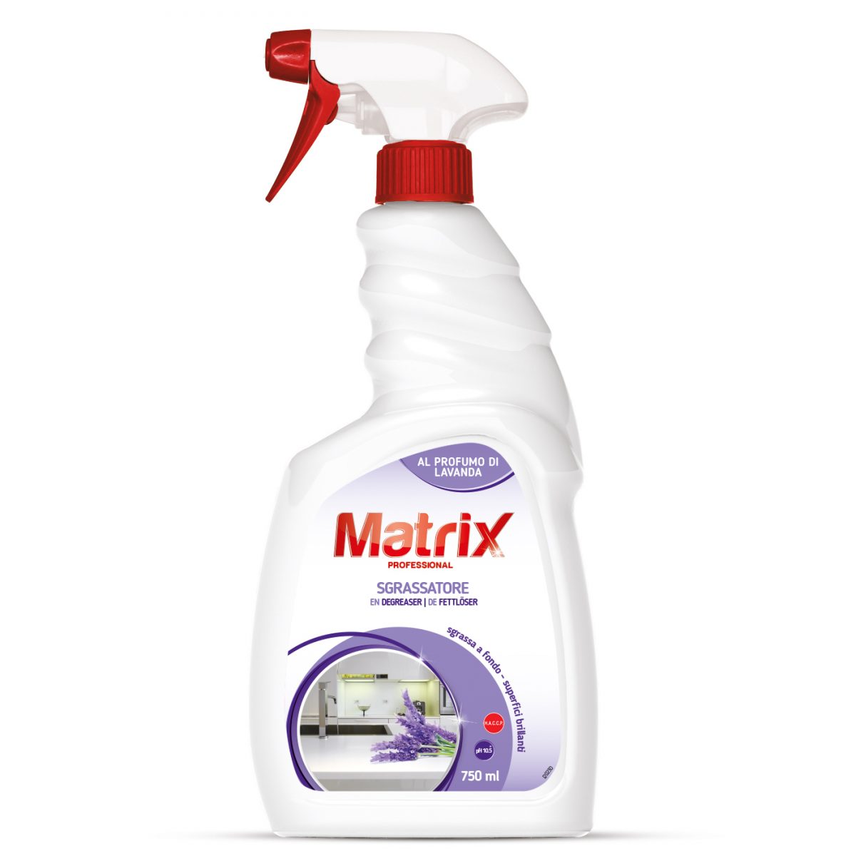 Universeller Entfetter 750 ml