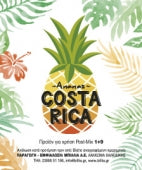Konzentrat Ananas x 18 KG / 16 lt