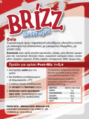 Konzentrat Cola Brizz kohlensäurehaltig 19 KG / 16 lt